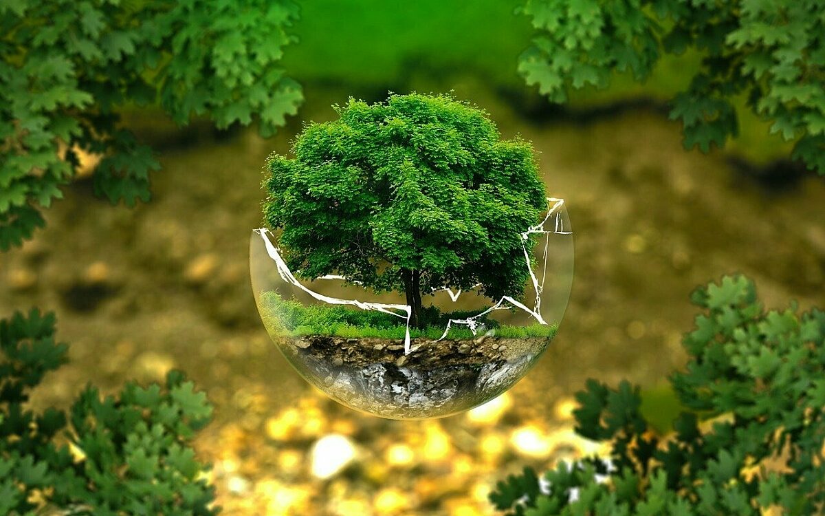 Environmental protection 326923 1280 Environmental protection 326923 1280